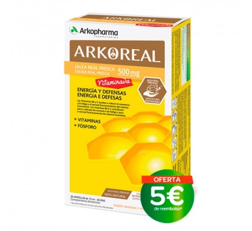 Arkoreal jalea real vitaminada 500 (20 amp)