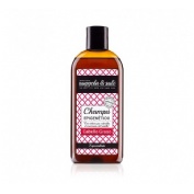 Nuggela & sule champu epigenetico cabello graso (1 envase 250 ml)