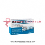 GELOCATIL GRIPE FORTE CON FENILEFRINA GRANULADO PARA SOLUCION ORAL 10 sobres
