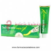 SALVACAM 5mg/g  GEL , 1 tubo de 60 g